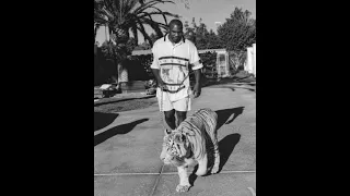 𝕄𝕚𝕜𝕖 𝕋𝕪𝕤𝕠𝕟 𝕏 ℝ𝕠𝕪 𝕁𝕠𝕟𝕤 𝕁𝕣 ℂ𝕒𝕟 𝕥 𝕓𝕖 𝕥𝕠𝕦𝕔𝕙𝕖𝕕 𝕊𝕝𝕠𝕨𝕖𝕕 ℝ𝕖𝕧𝕖𝕣𝕓 