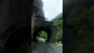              ريت عجيبة دندنها