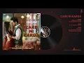 Chhalaang: Care Ni Karda (Audio) Rajkummar R, Nushrratt B | Yo Yo Honey Singh, Alfaaz, Hommie D
