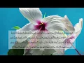 Download Lagu Surah 005 | Al Maidah | Beautiful Sceneries | Abdul Rehman Al Sudais | The Holy Quran
