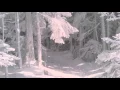 Download Lagu Winter beauties * Beatrix Sipos, Sergey Grischuk * HD