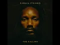Red Gold and Green - Kabaka Pyramid & Damian Marley