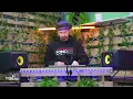 Download Lagu House Therapy: Vibe Edition Vol.1