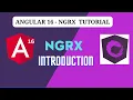 NGRX Introduction Angular 16 - NGRX Tutorial