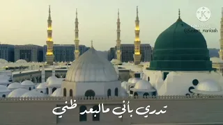  حالات واتس اب بعضي وكلي   دندنها