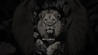 ١٢ يونيو ٢٠٢٥ 