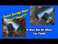 Genie Garage Door Won t Close - Unusual Sensor Issue