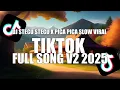 Download Lagu DJ STECU STECU X PICA PICA SLOW VIRAL TIKTOK FULL SONG V2 2025