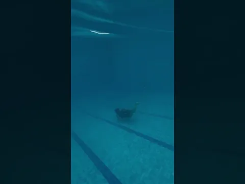أحلى غوص مع يوسف