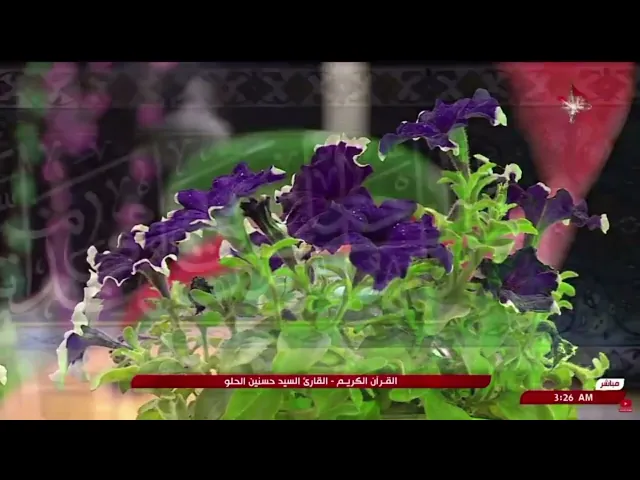 ⁣تلاوة قارئ العتبتين المقدستين السيد حسنين الحلو | ما تيسّر من سورتي القمر والرحمن المباركتين