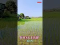 Download Lagu WONG URIP Koes Plus | #rona