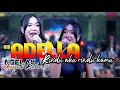 Download Lagu CANTIKA NUSWANTORO ADELLA - STECU STECU - LIVE NGELAK BATANG