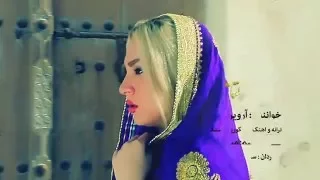 آروین بستگی 2016 گل بستان 