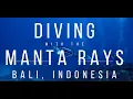 Lagu 4K Scuba Diving with the Manta Rays at Nusa Penida, Indonesia
