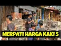 Download Lagu Jual Merpati Lokalan dan Merpati dari Banjarnegara
