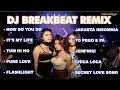 Download Lagu DJ HOW DO YOU DO BreakbeatREMIX (Its My Life, Tum Hi Ho, Jakarta Insomnia, To Pego E Pa, Chica Loca)