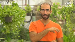 برنامج هواية وحرفة حلقة 17 قناة المجد 