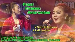 Download #Gubuk Asmoro # Lali Janjine PRIGEL PANGAYU ANJAR WENING campursari SURYA BUANA 13 Maret 2020 MP3