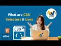 CSS Selectors in 2025 Master All Types of Selectors in CSS with Examples