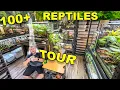 Reptile ROOM Tour March 2024 Over 100 pet reptiles