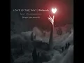 Love Is The Way (Pippi Ciez Extended Retake)
