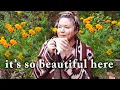 September in the Hudson Valley -