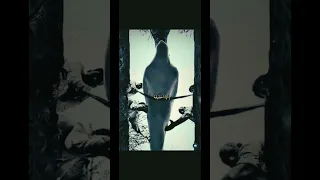 ستموت نعم ستموت انها الحقيقه التي نهرب منها دائما الشيخ خالد الراشد 