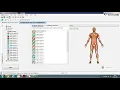 EMG data collection