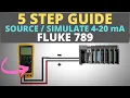 How To Use a Process Meter - 5 Step Guide to Source Simulate 4-20mA