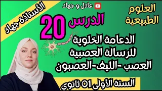 الدرس 20 الدعامة الخلوية للرسالة العصبية العصب الليف العصبون 