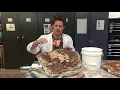 A Fossil Journey Chapter III
