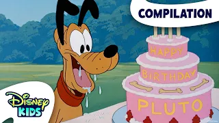 Happy Birthday, Pluto! 🦴🥳🎂 | Mickey & Friends | @disneykids