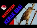 Download Lagu MASTERAN KERAK BASI ALIS PUTIH SUARA JERNIH DAN JEDA GEMERCIK AIR