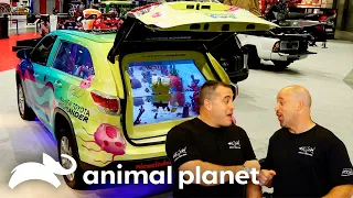 The Craziest Tanks For Small and Big Businesses | Tanked | Animal Planet