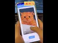 Tinder for Pets ANDROID STUDIO Source Code