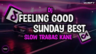 dj feeling good sunday best slow trabas kane sound viral tiktok musify