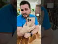 Download Lagu Zo kan je makkelijk overal bij op je iPhone 16 Pro Max!