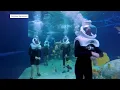 OdySea Aquarium named one of the top 10 aquariums in the nation by USA TODAY