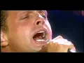 luis miguel-vivo-sabor a mi-la gloria eres tu