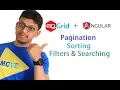 agGrid angular Pagination Sorting Searching and filters data table
