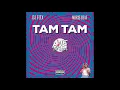 DJ Flex \u0026 Moris Beat - Tam Tam (Afrobeat)