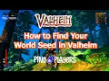 How to Find Your World Seed in Valheim Easy Guide