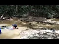 Download Lagu ikan duyung kg mandi di sungai