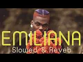 Download Lagu CKay - Emiliana [SLOWED \u0026 REVERB TO PERFECTION]
