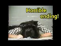 This is a tragic true story Short film about Christine Chubbuck