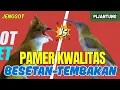Download Lagu MASTERAN TEMBAKAN KASARAN TERBAIK || PIJANTUNG GUNUNG NEMBAK PANJANG SPEDD RAPET Vs BESETAN JENGGOT