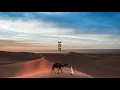 Everything Counts - The Bedouin feat. Shafqat Ali Khan