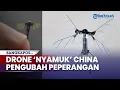 Download Lagu Drone Nyamuk China Diklaim Jadi 'Pengubah Peperangan', Ukuran Kecil Cocok untuk Operasi Rahasia