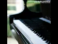 Silent Night Piano (Mixed with Bird Sounds)