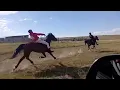 Lagu Traditional horse racing_eMphongolweni KZN 01/02/2026